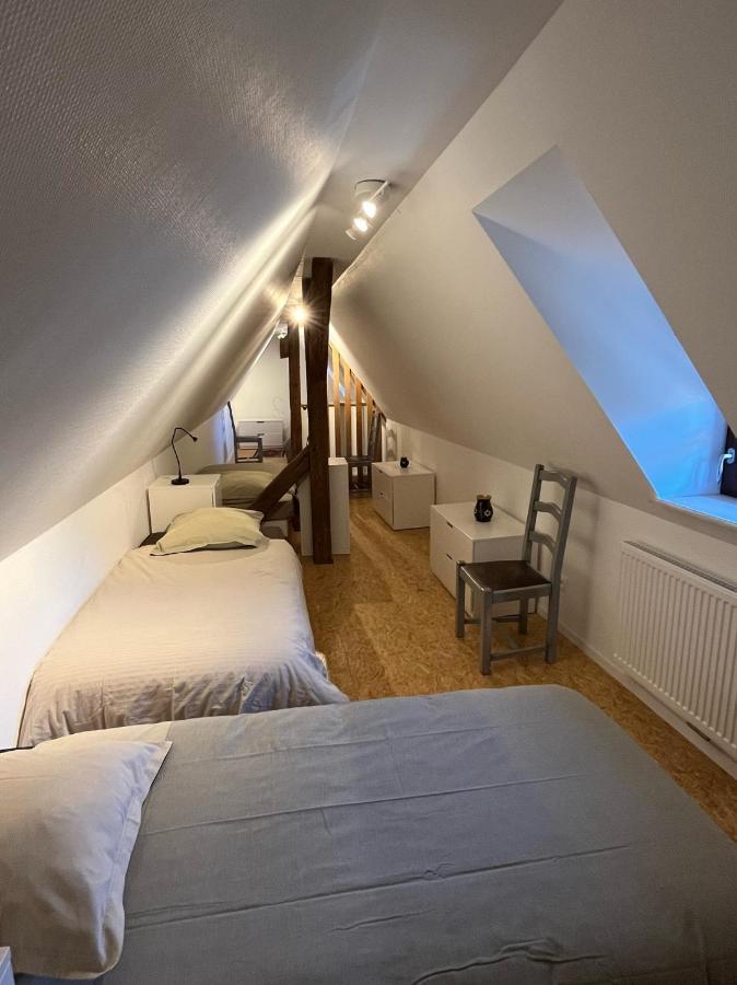 Domaine La Cour Des Nobles - Demeure, Maison Et Appartements Au Coeur De Riquewihr Exterior foto
