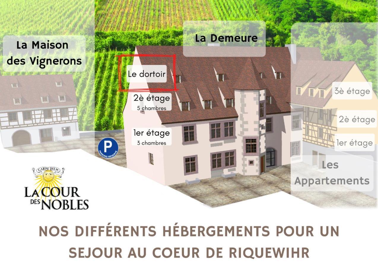 Domaine La Cour Des Nobles - Demeure, Maison Et Appartements Au Coeur De Riquewihr Exterior foto