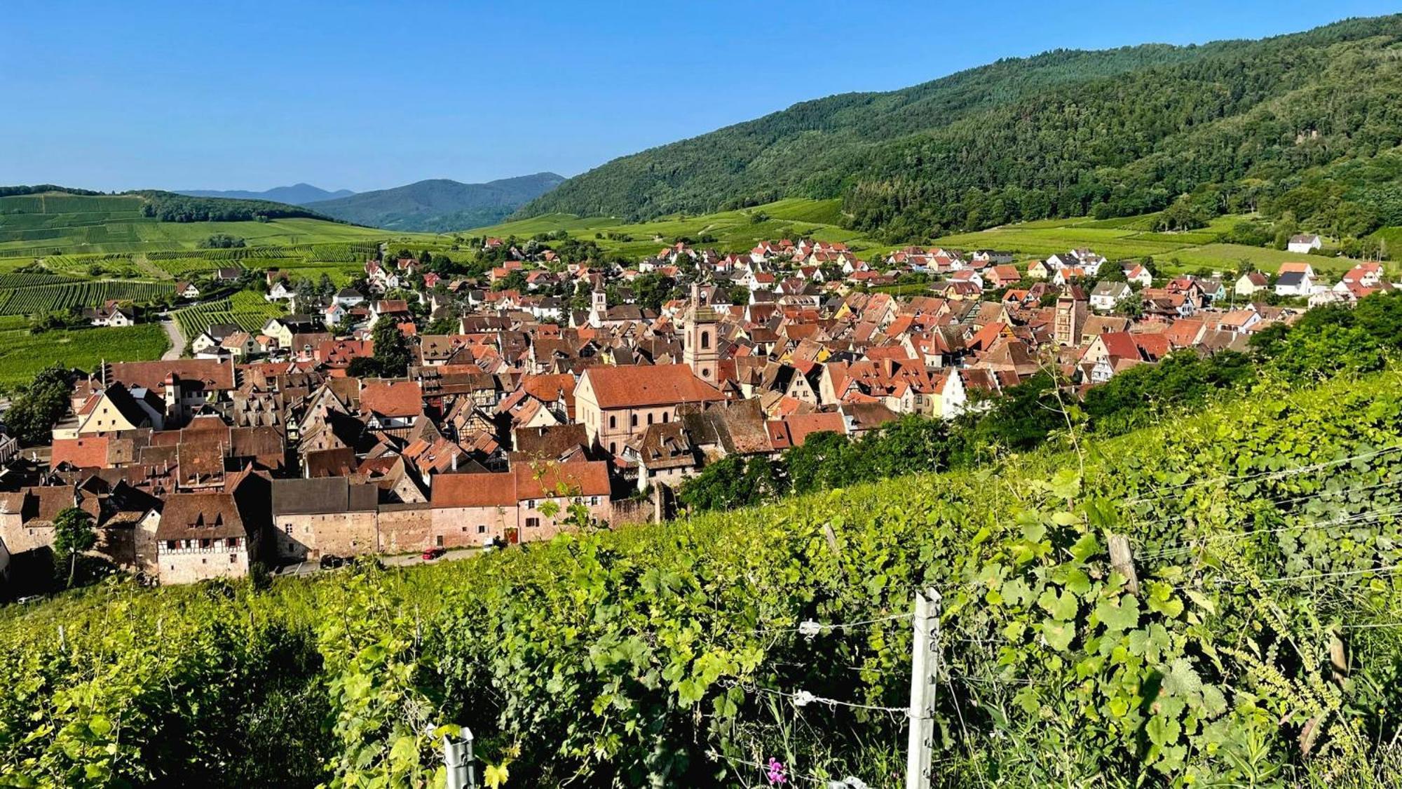 Domaine La Cour Des Nobles - Demeure, Maison Et Appartements Au Coeur De Riquewihr Exterior foto