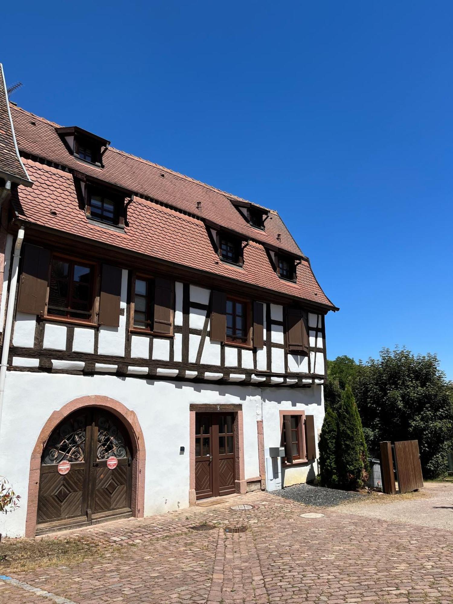 Domaine La Cour Des Nobles - Demeure, Maison Et Appartements Au Coeur De Riquewihr Habitación foto
