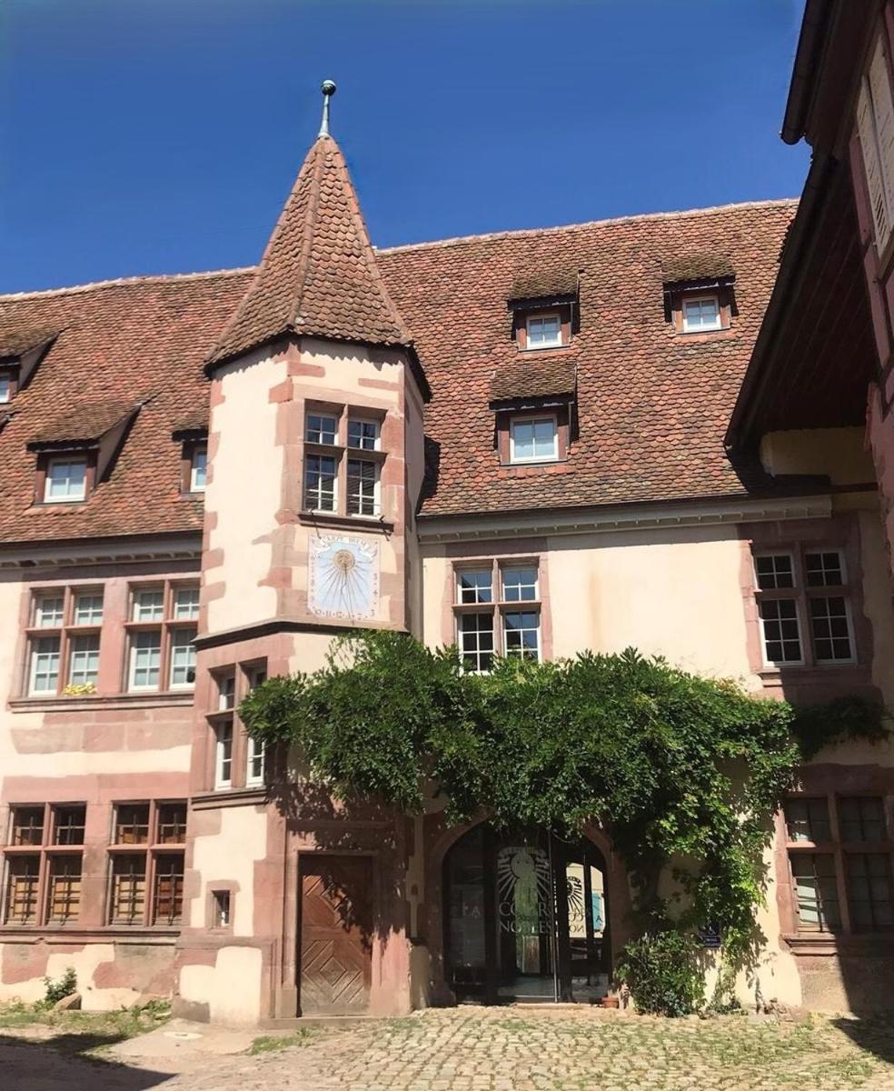 Domaine La Cour Des Nobles - Demeure, Maison Et Appartements Au Coeur De Riquewihr Exterior foto